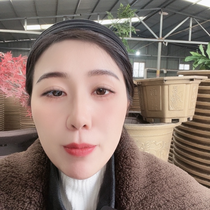 圆83口径花盆一个