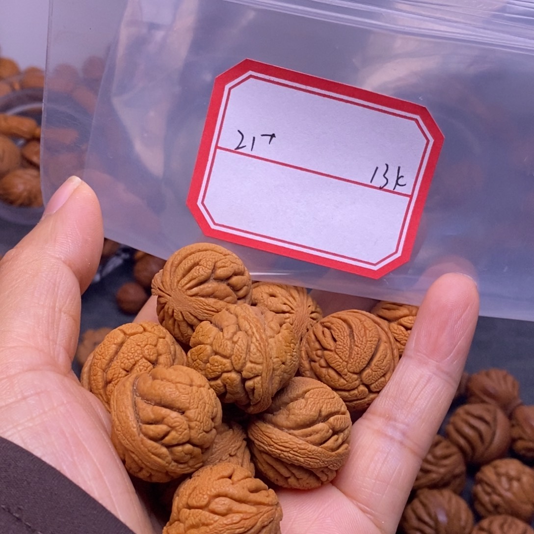 秦岭龙纹桃核13颗