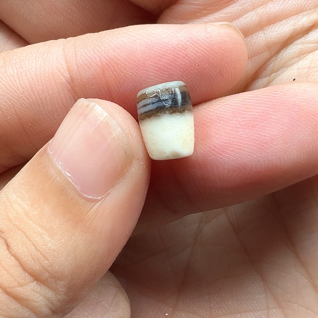 菩***祝泥塑f22..................