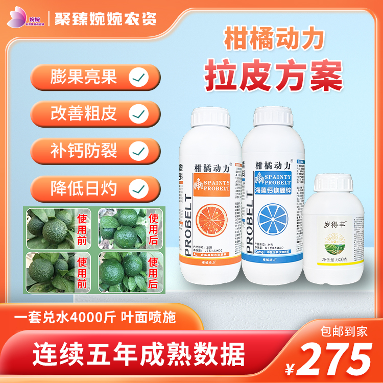 柑橘动力拉皮方案套餐让果实膨大改善粗皮日灼减少裂果增加蜡质层