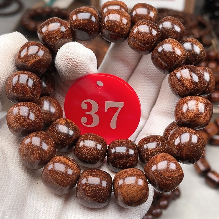 贡木其他多样性发其一1314