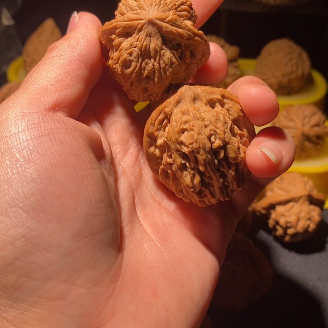 文玩核桃吊坠M**孫原树枯木蝉