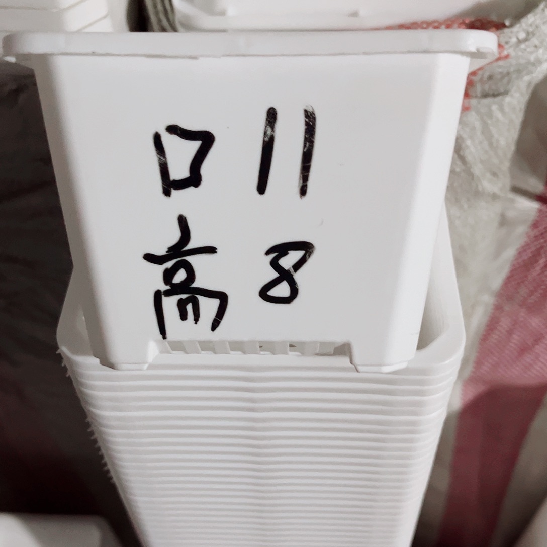 塑料福利款11方白色盆30个无托