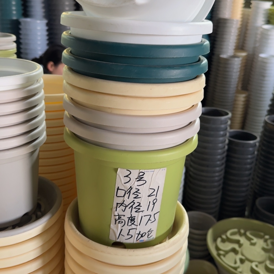 四季3#口径21无拖果绿10个