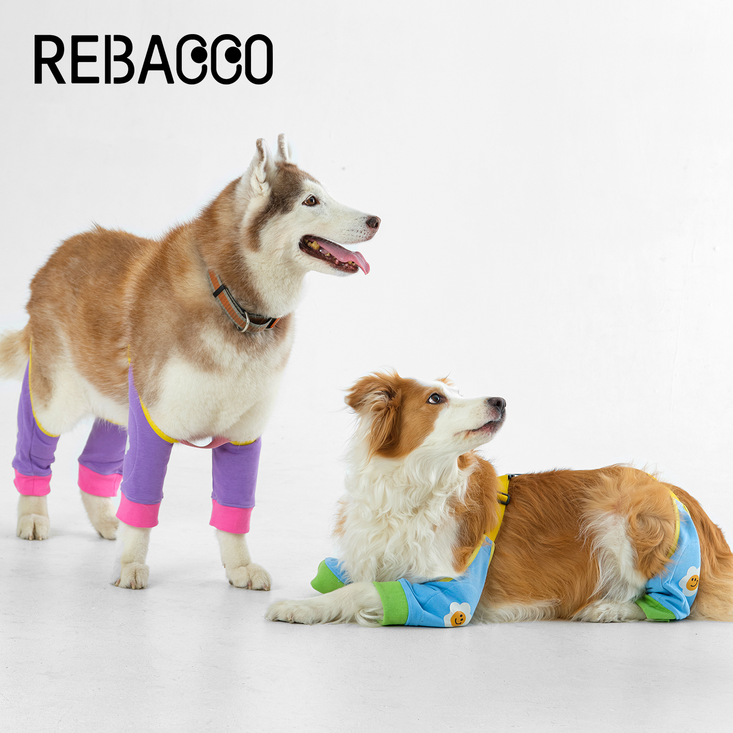 瑞巴客狗狗护肘衣四腿关节保护套防脏护膝宠物衣服中大犬四季通用