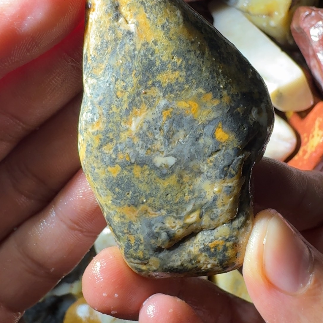 痴***瓜寿山石899888998888