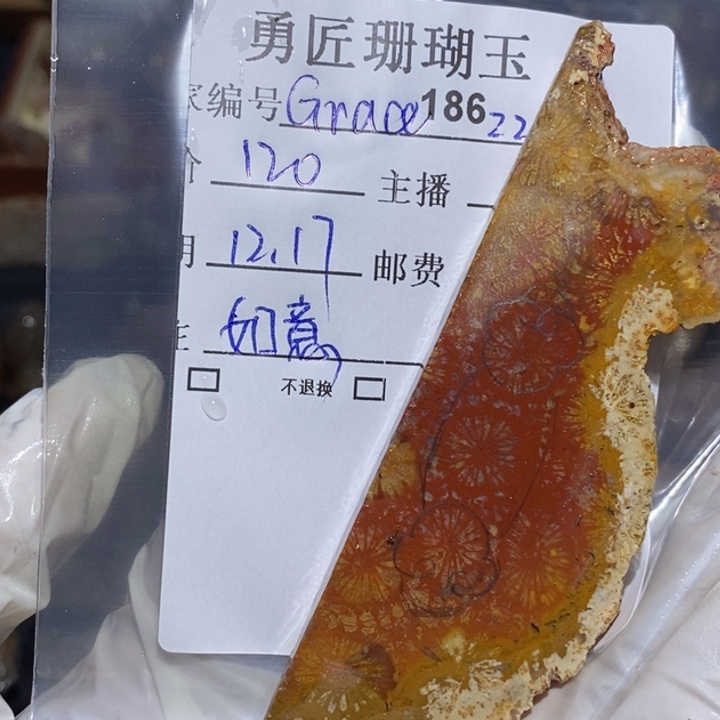 【闪购商品】未镶嵌珊瑚玉硅化玉?****Z