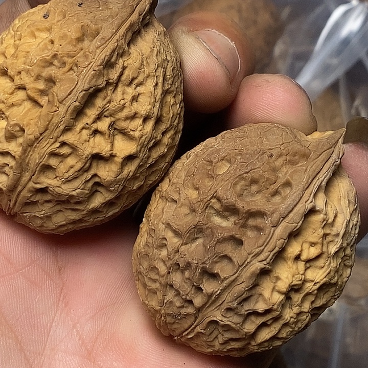 把件文玩核桃云南铁核桃A26