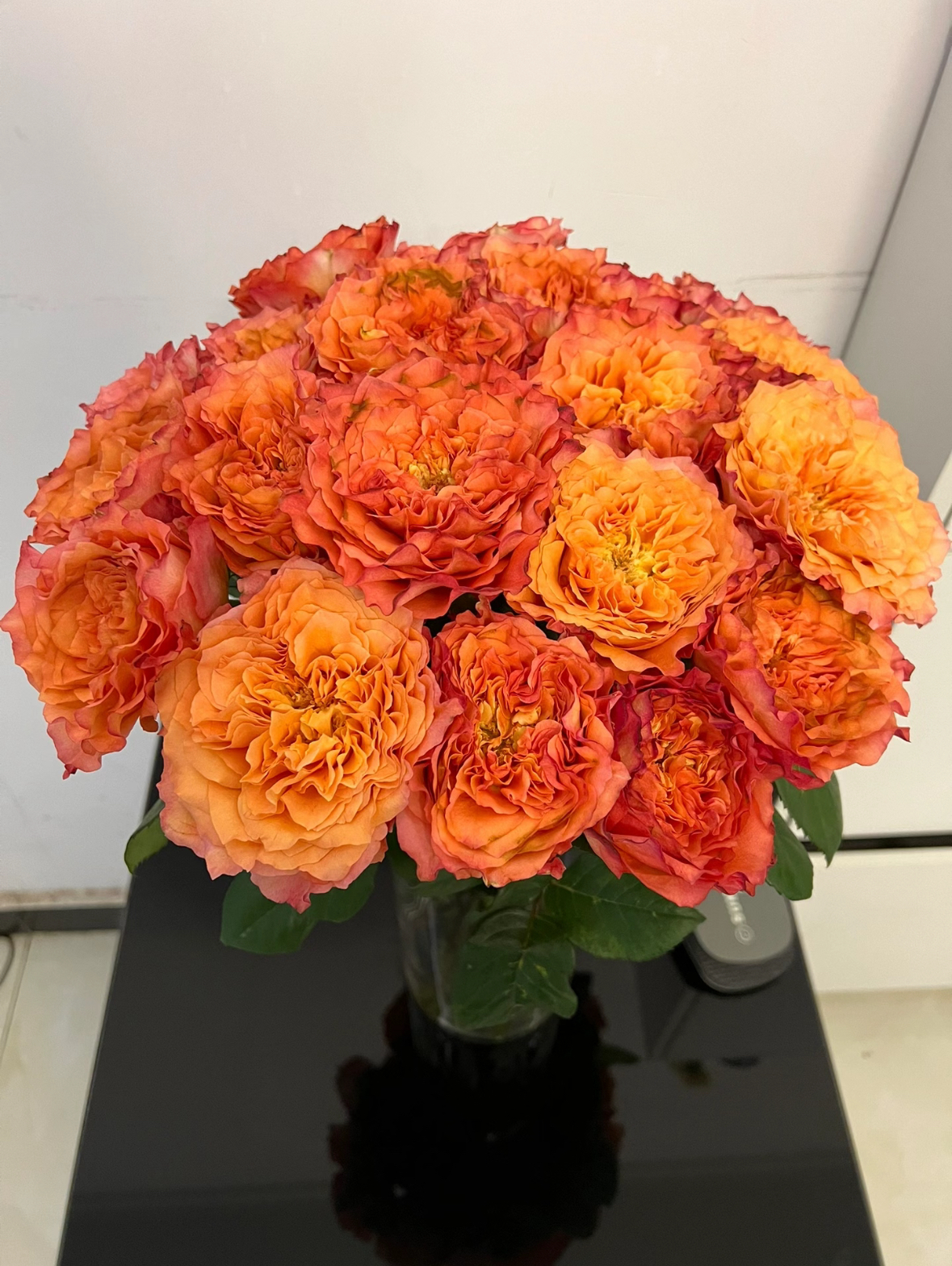 【火灵鸟玫瑰】收到花要醒花~云南鲜花批发