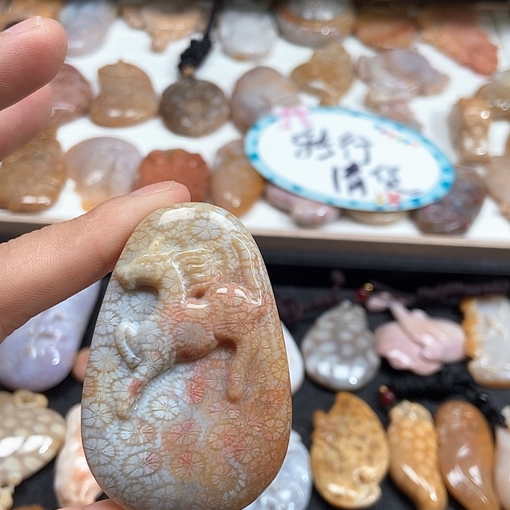 颈饰未镶嵌硅化珊瑚（珊瑚玉）