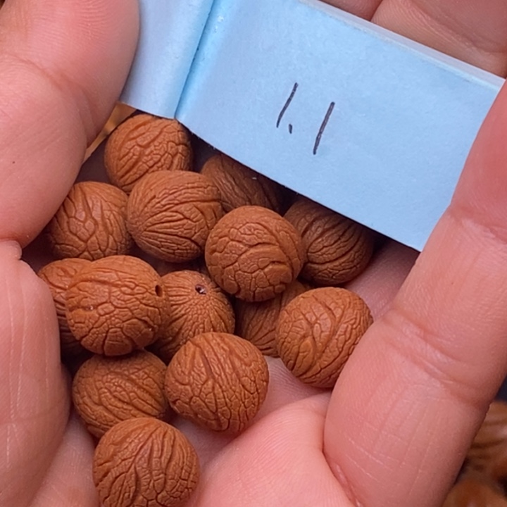 秦岭龙纹桃核20颗