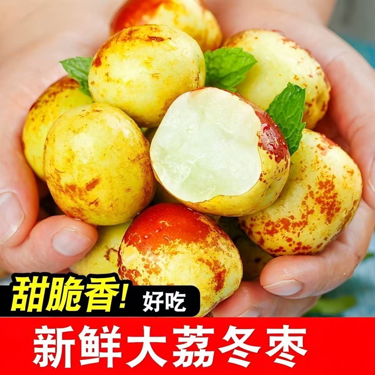 正宗陕西大荔冬枣脆甜青枣特级新鲜水果现摘现发孕妇鲜枣大枣Q