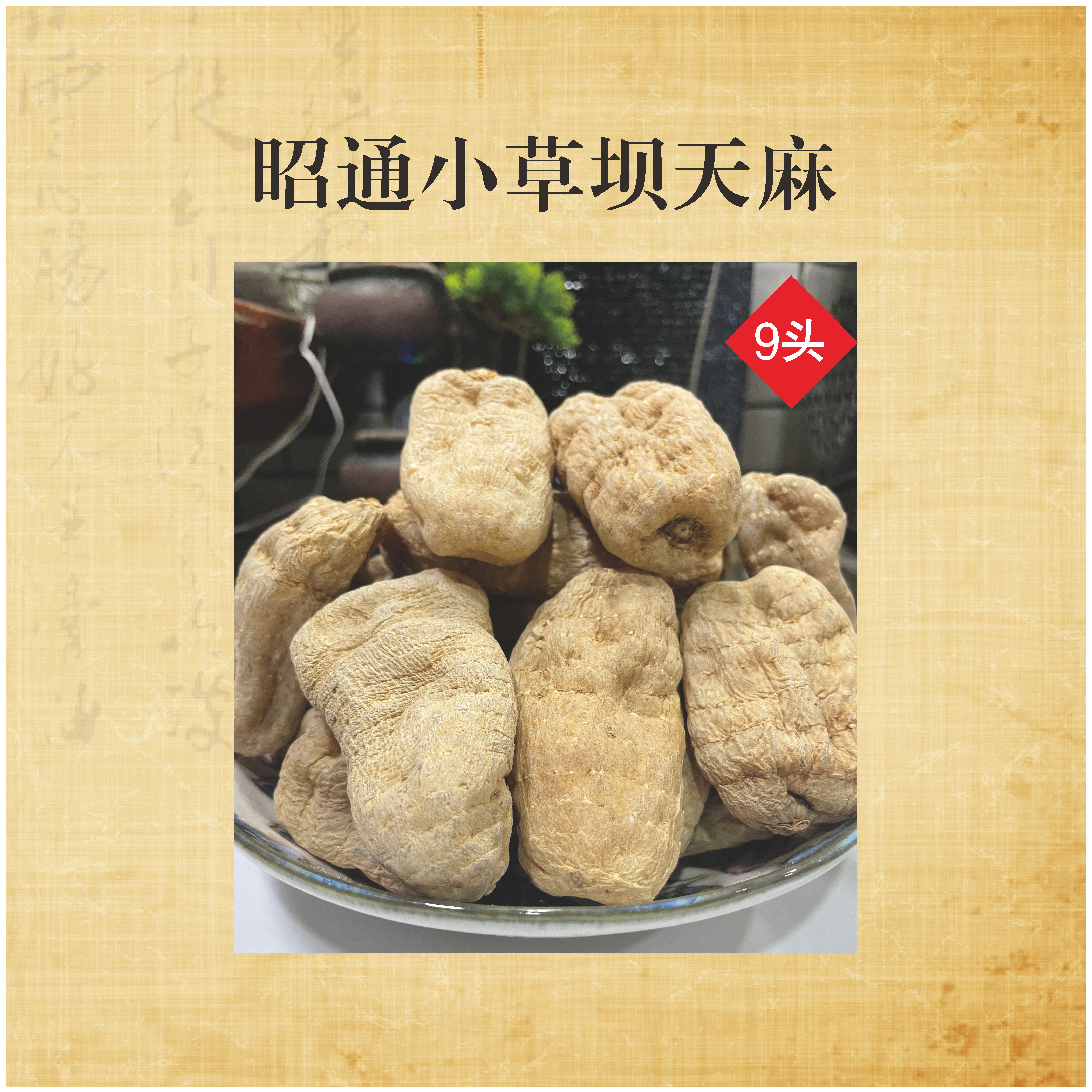 云南昭通小草坝本色天麻可煲汤泡水食用的干货（9个有一斤）