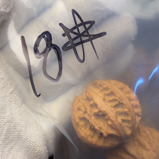 傻***哥文玩核桃把件秦岭核桃18