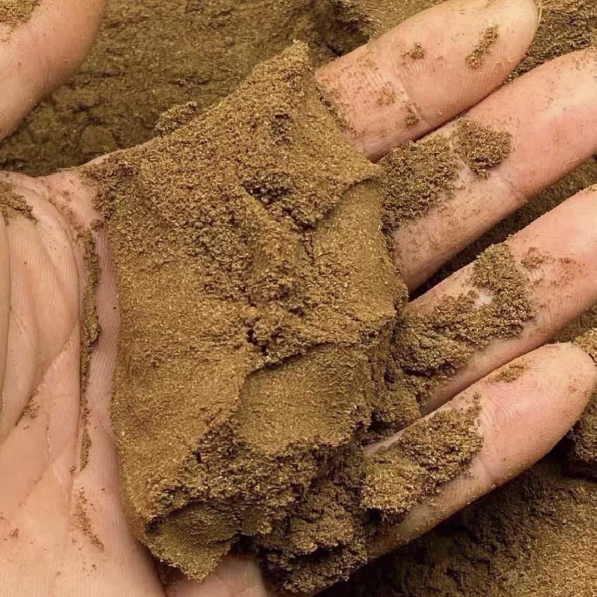 沉香海南白棋虫漏➕板头粉，香味十足，爆发力柔和感都十足