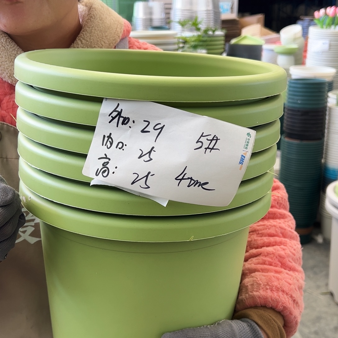 四季盆5#果绿色6个无托