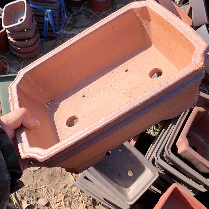 紫砂淘宝优惠券起单曲领