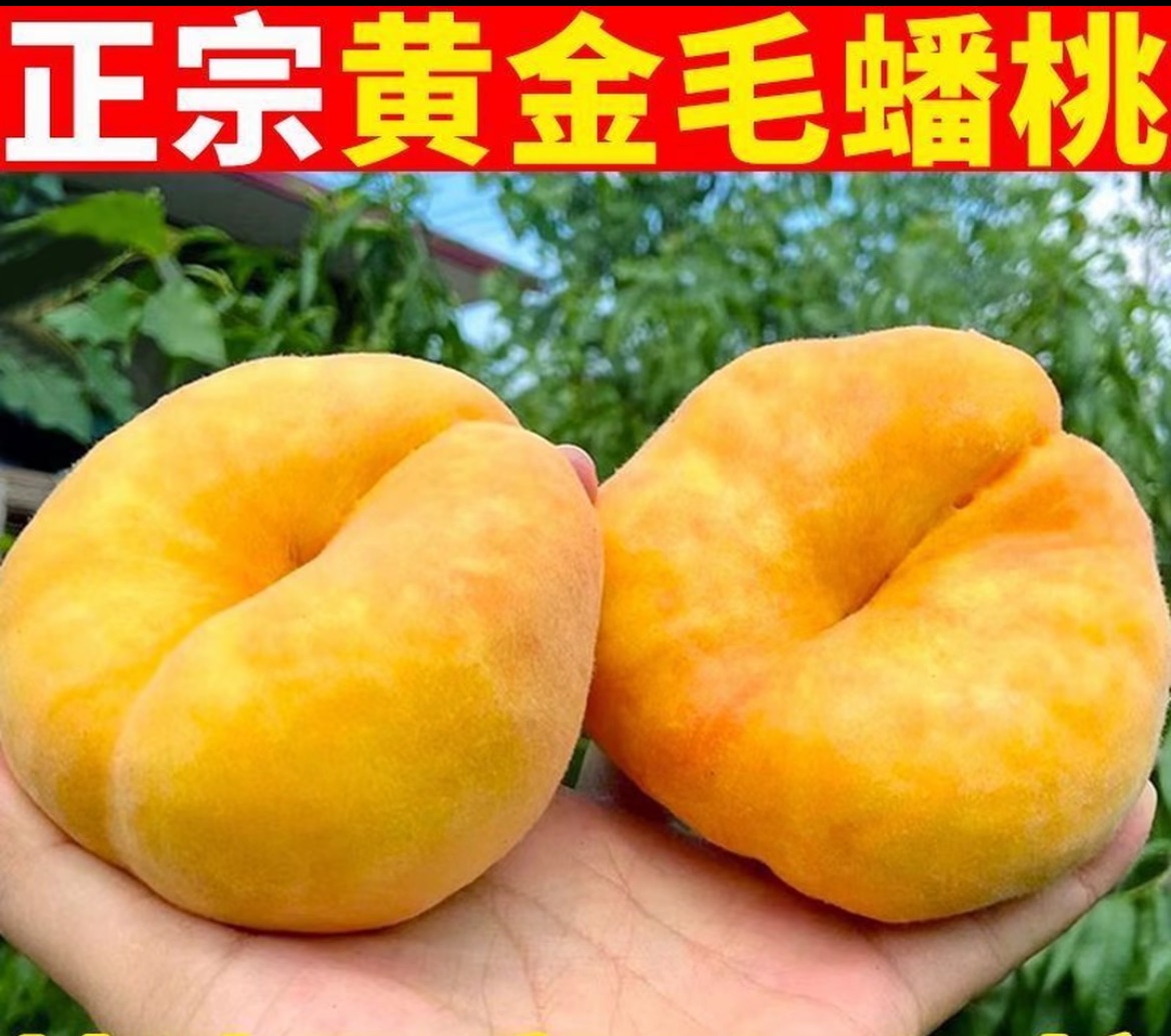 山东蒙阴毛蟠桃肉厚饱满好吃香甜