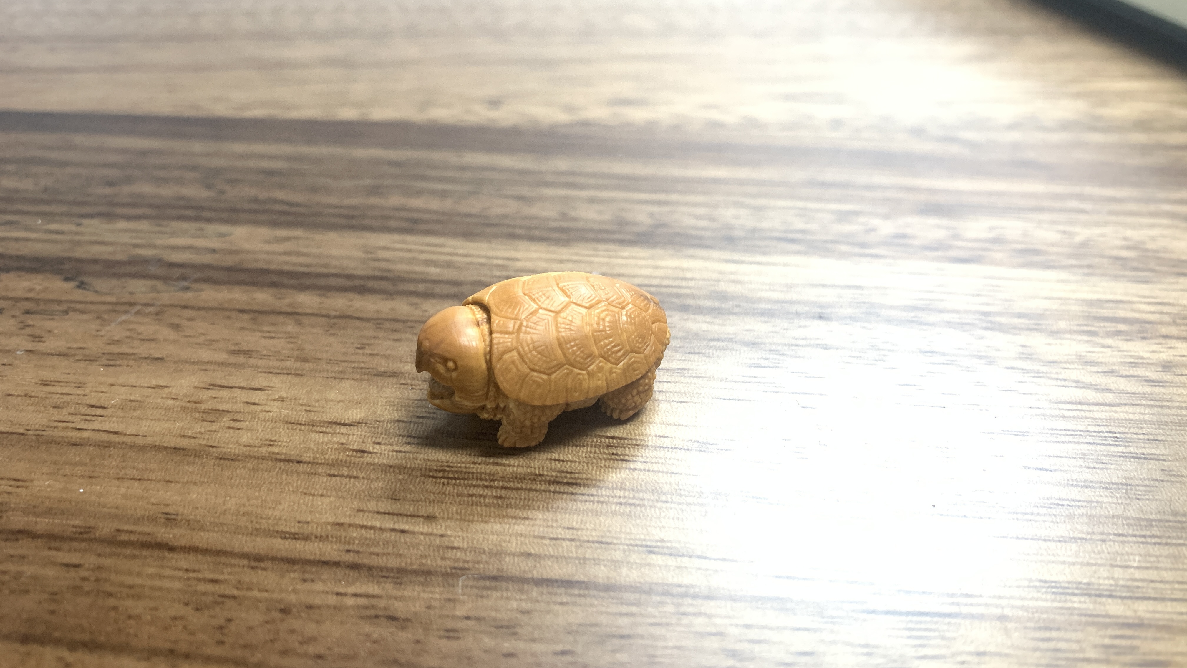 鹰王爬宠核雕橄榄核鹰嘴龟