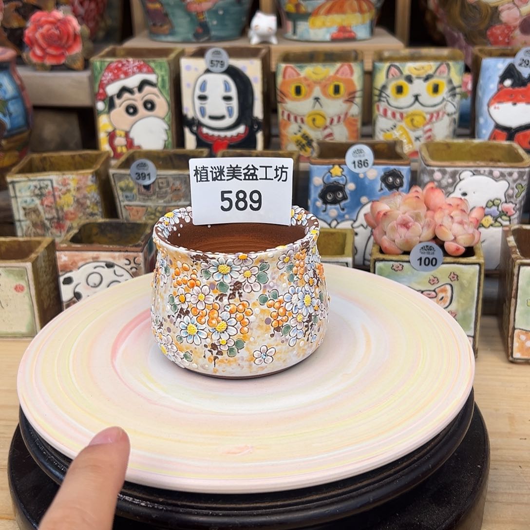 红陶589精工td来咯