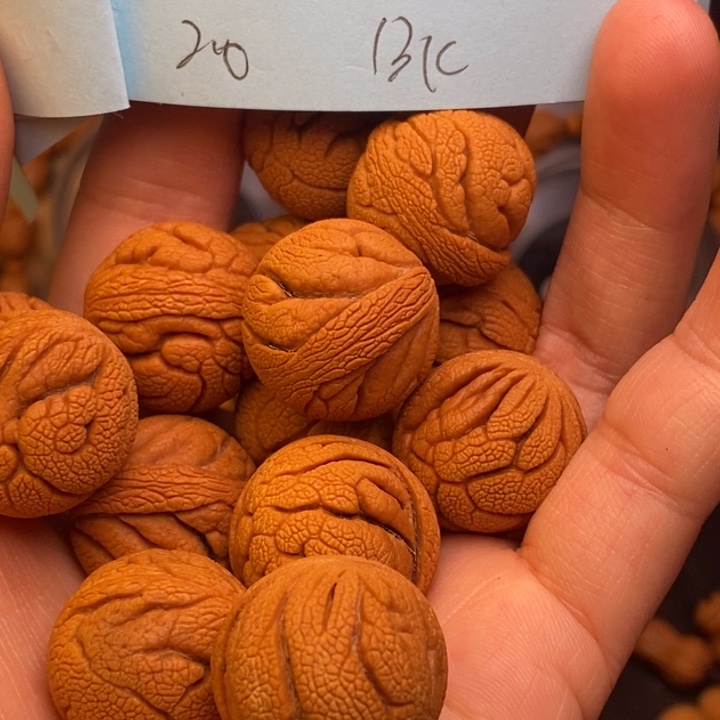 桃核吊坠秦岭龙纹桃核20