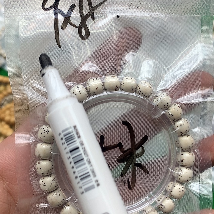 吊坠星月菩提星月