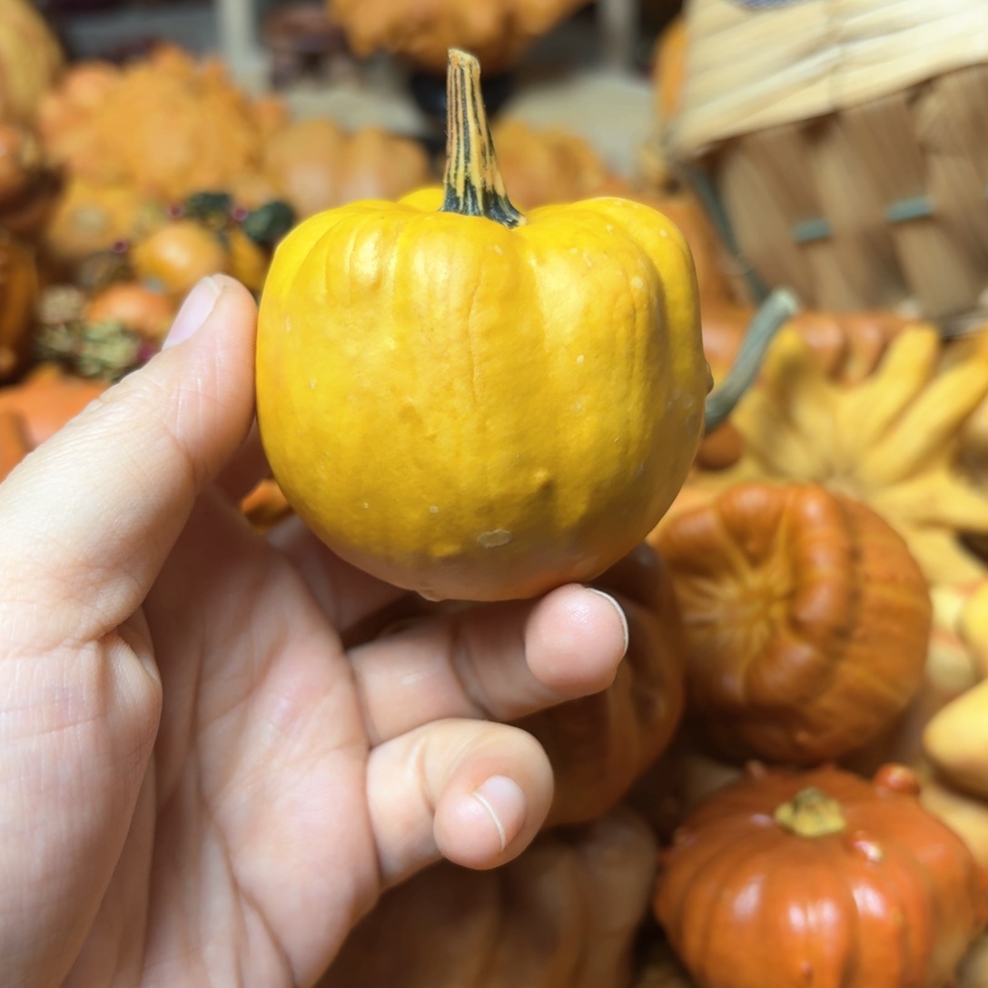 空*?特价葫芦不退不换