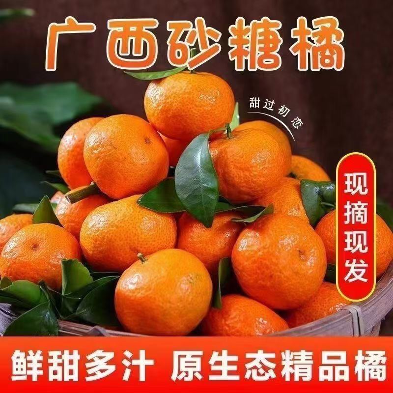 广西正宗砂糖橘当季水果新鲜现摘超甜皮薄多汁产地直发