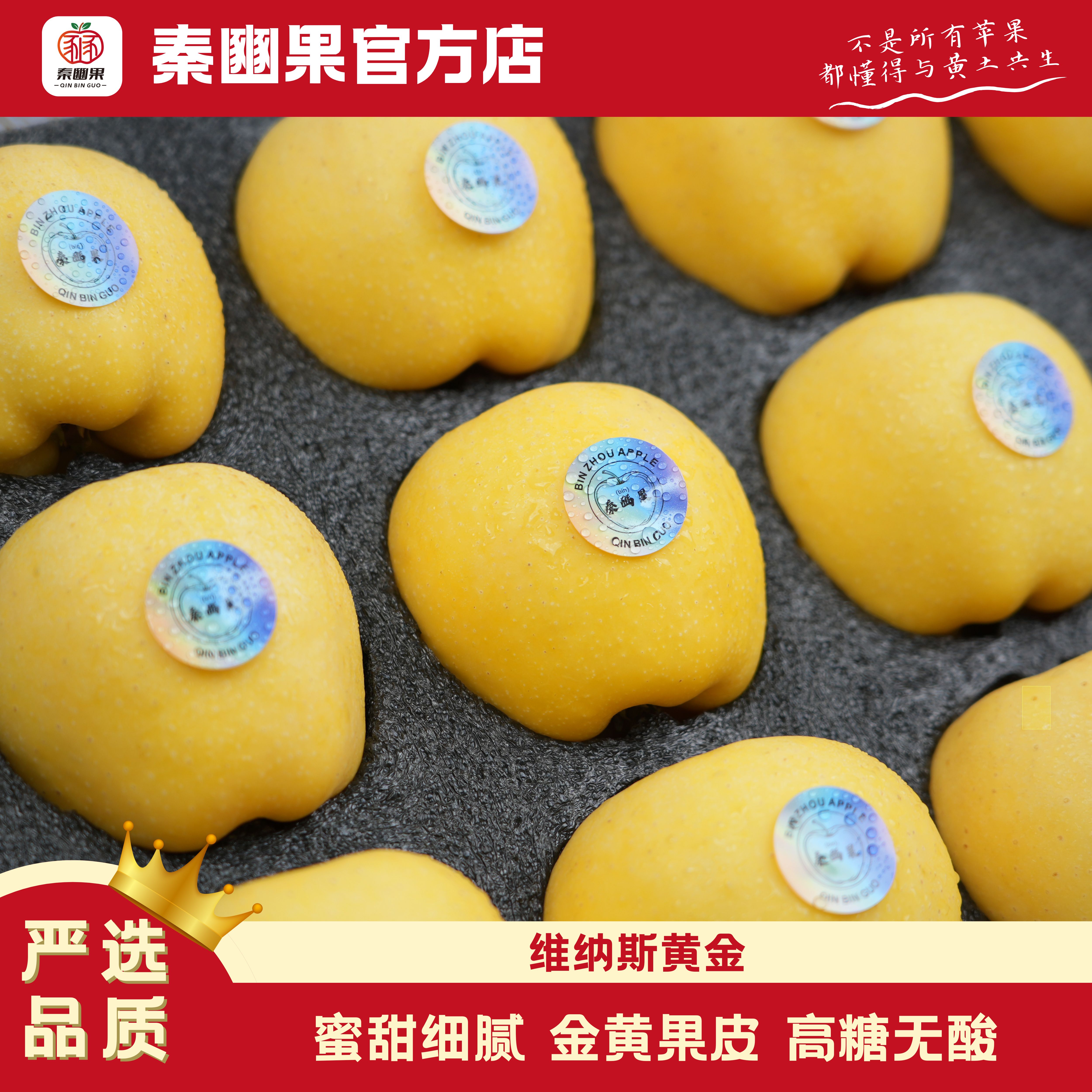 【顺丰发货 彩箱装 维纳斯黄金】颗颗甄选蜜甜多汁当季鲜果
