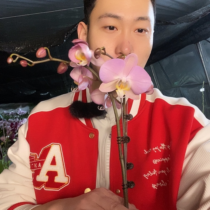 无花朵怕多瓦双剑