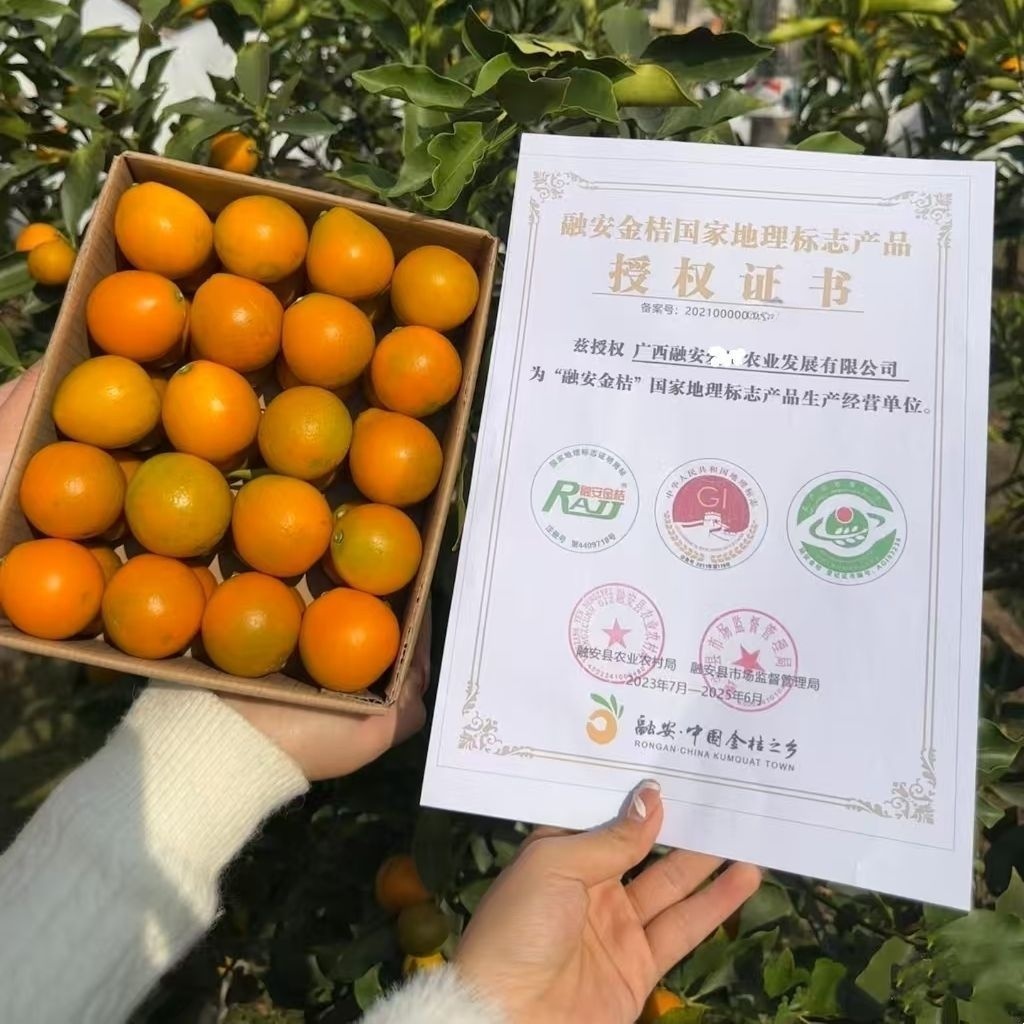【纯甜无酸无籽不麻嘴】正宗融安第三代脆蜜金柑金桔纯甜无籽无酸