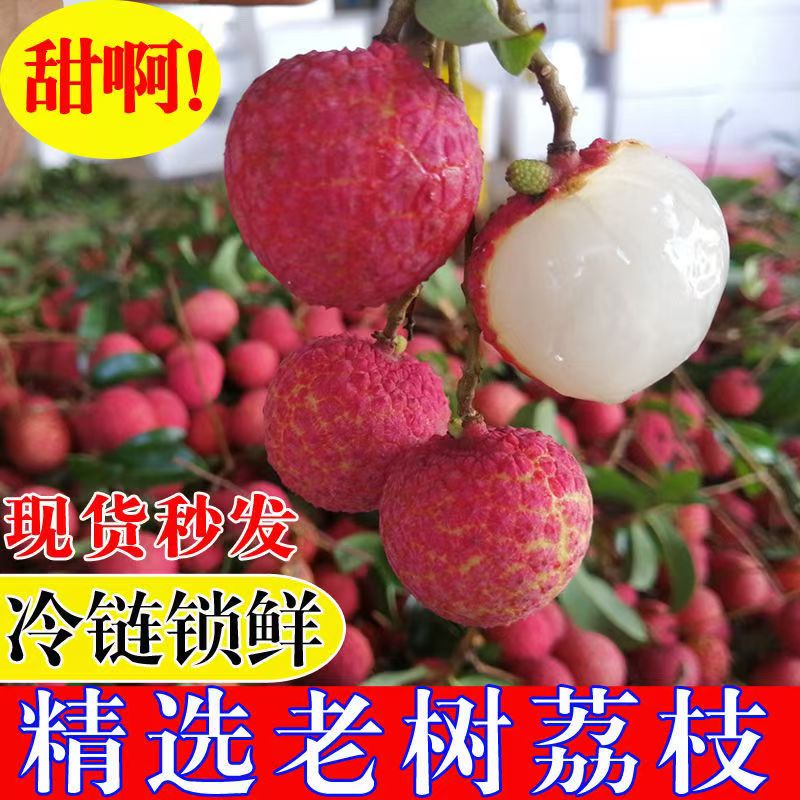 【冷链速运】正宗广东茂名玉荷苞荔枝桂花香味老树晚熟老品种