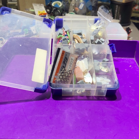 贝壳亮片开始拍啦