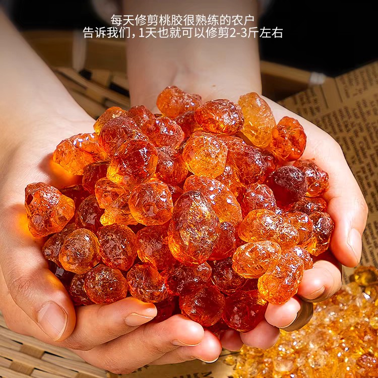 老桃树桃胶手工采栽自然风干