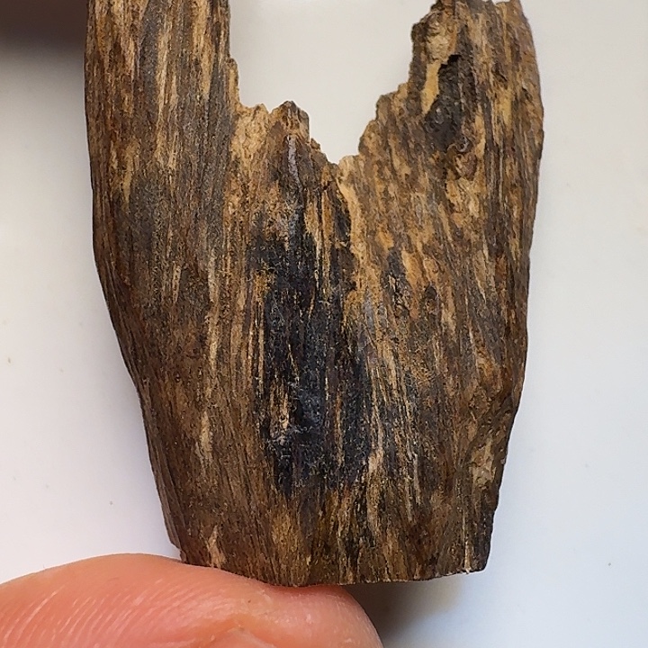 静水文莱软丝沉水2克！！！！！