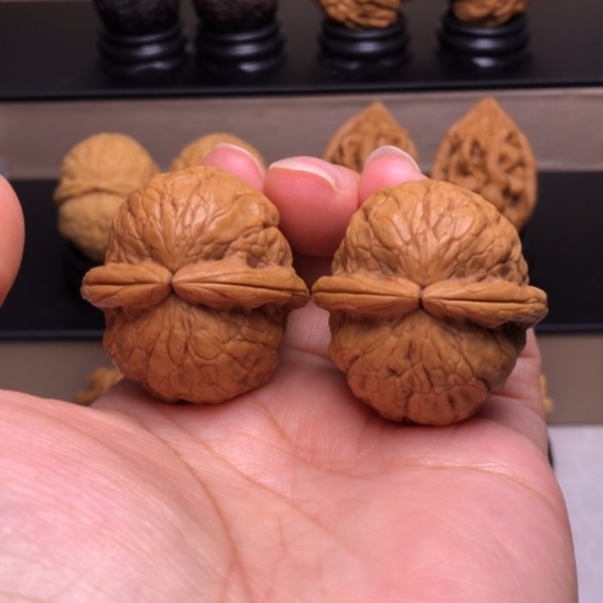 文玩核桃把件金龟玉甲12