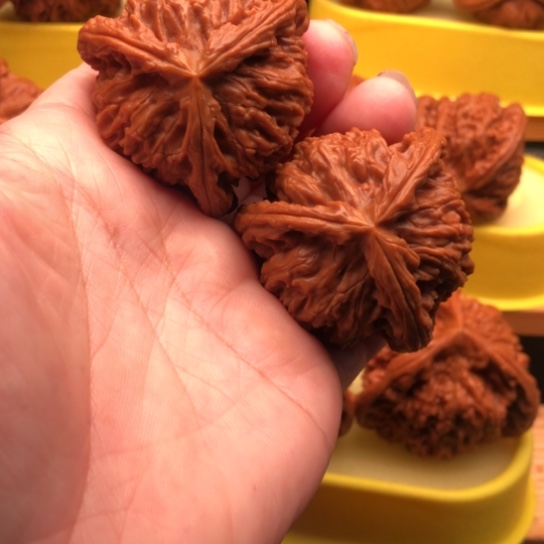 冀***）吊坠文玩核桃核桃