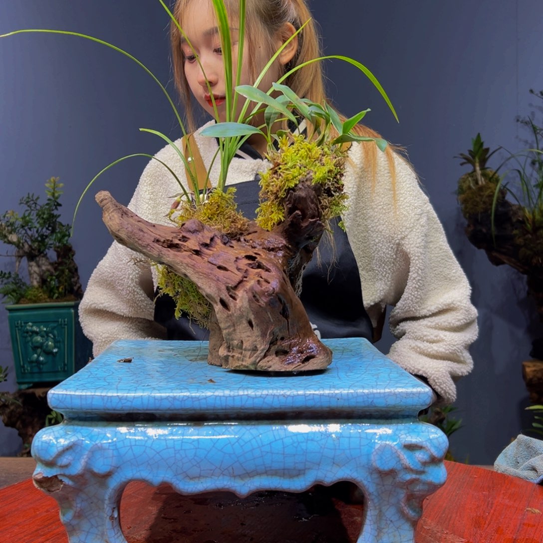 L***n完全开放11111111111