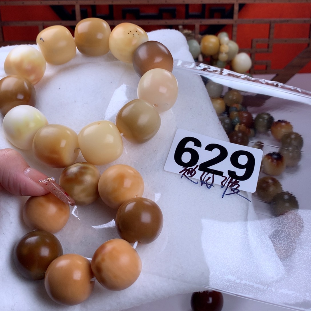 菩提根/象牙果吊坠茶**来