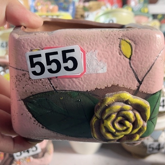 红陶多肉植物花盆