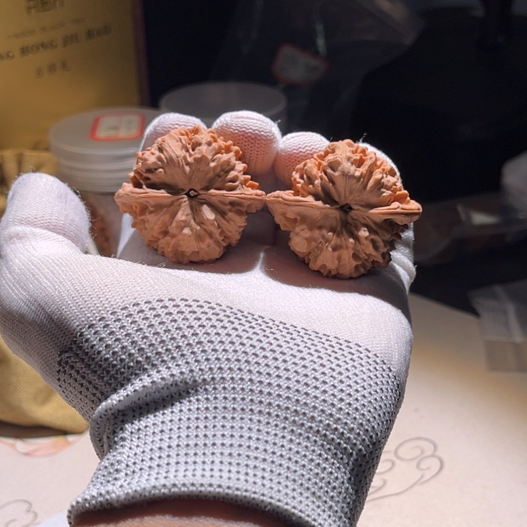 用***哥官帽官帽官帽官帽 