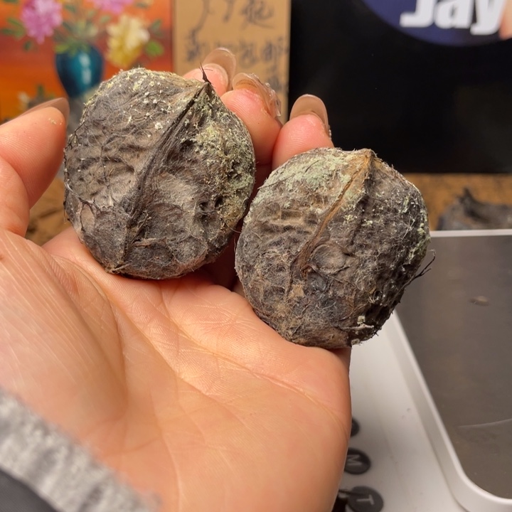 乔云南铁核桃默认微瑕79