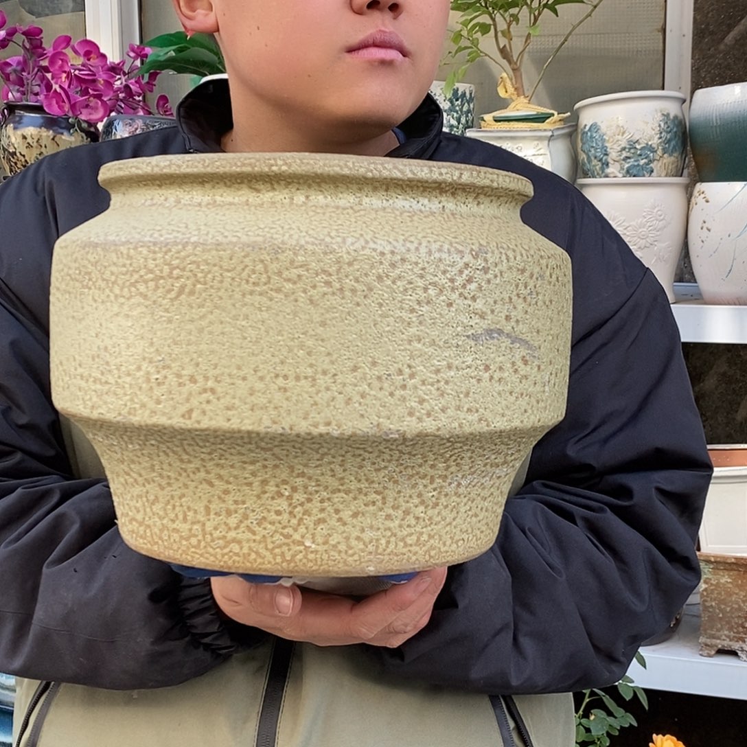 花盆紫砂口25高22处理里