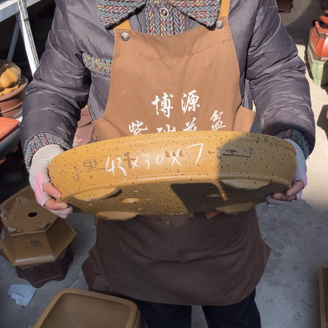 花盆紫砂盆景艺术