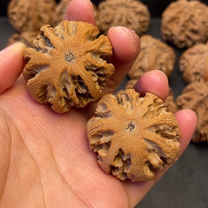 望***乡吊坠文玩核桃突突路突突突突突突突