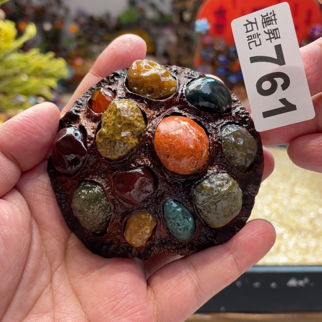 核桃木/黑胡桃（胡桃木）761