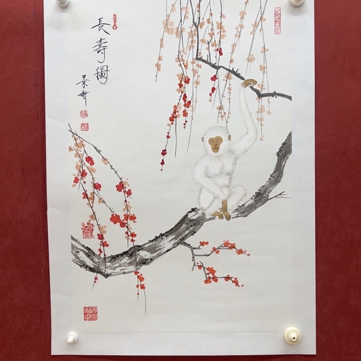 国画你你你你你你你你你你你你