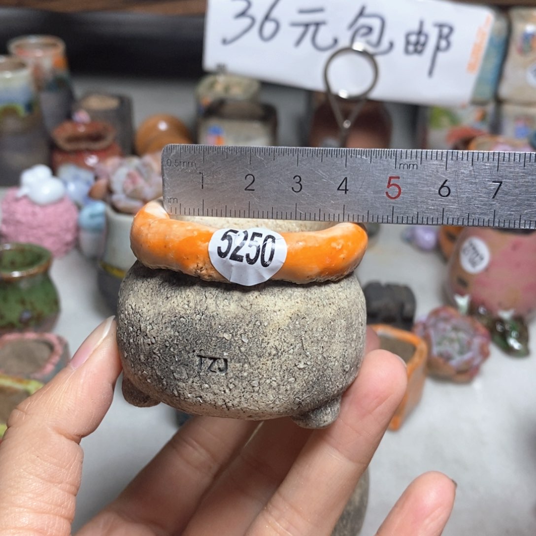 拍3送一个小礼物