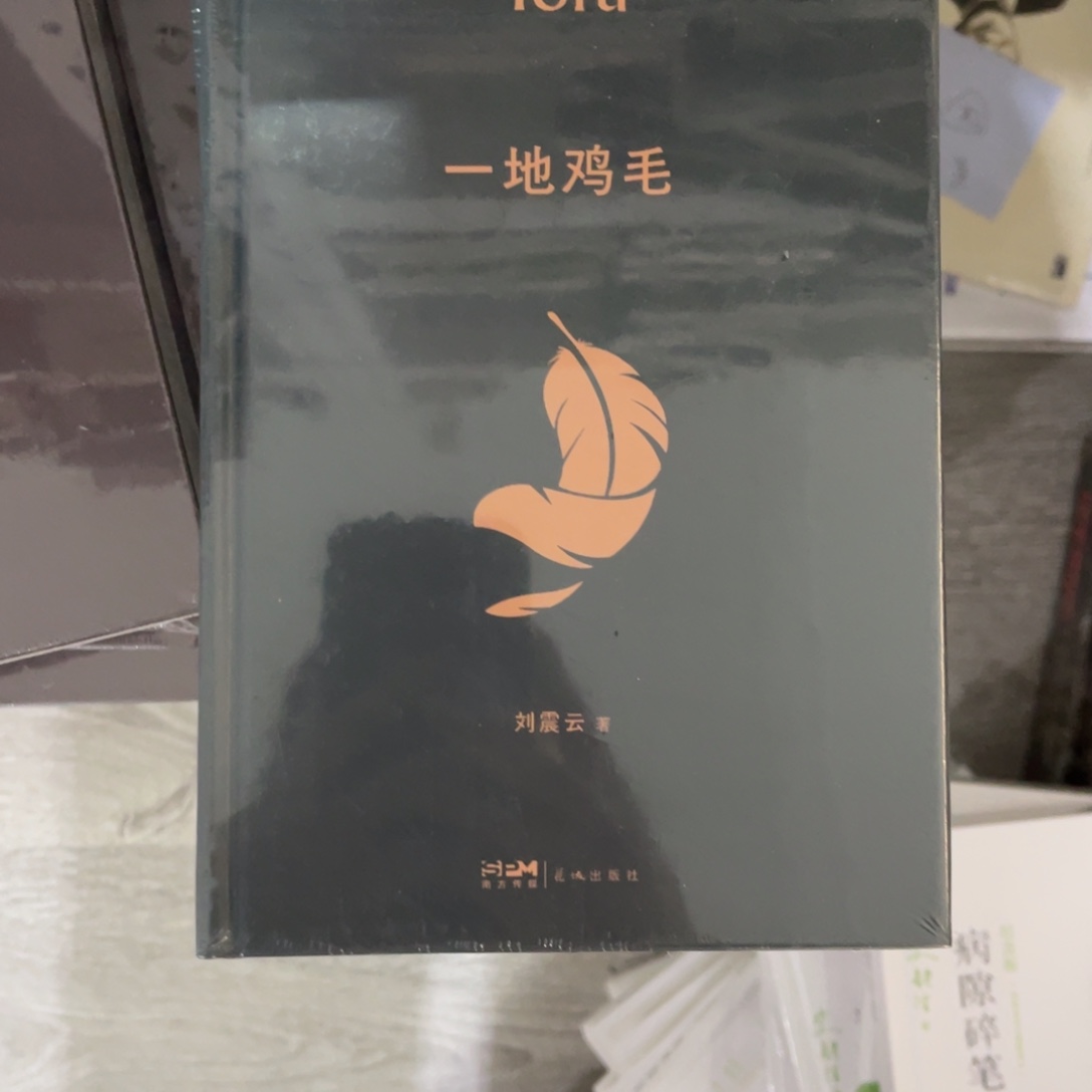 一地鸡毛精装一个^_^