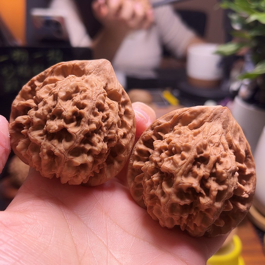 港***博文玩核桃把件50+白茬官帽9